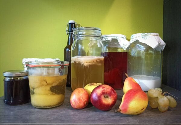 I fermentati nel gelato
