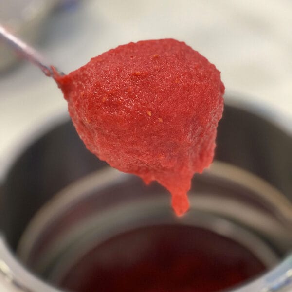 Pacchetto Ricette CREMOLATE DI FRUTTA