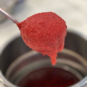 Recipe Book ITALIAN-STYLE FROZEN FRUIT SLUSH