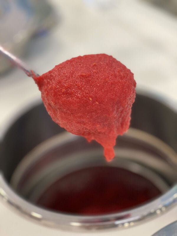 Recipe Book ITALIAN-STYLE FROZEN FRUIT SLUSH